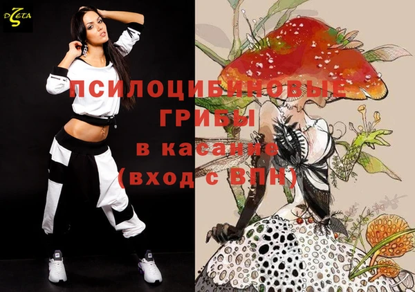 не бодяженный Арсеньев
